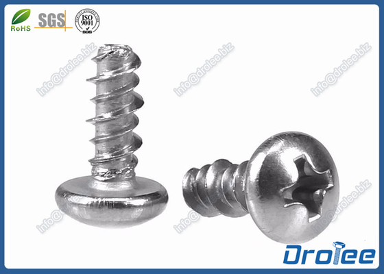China 304/316/410 Stainless Philips Pan Head Hi-Lo Thread Screw for Plastics supplier
