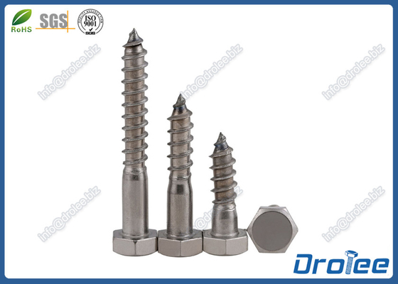 China A2 / 304 Stainless Steel DIN 571 Hex Wood Screw, Lag Screw supplier