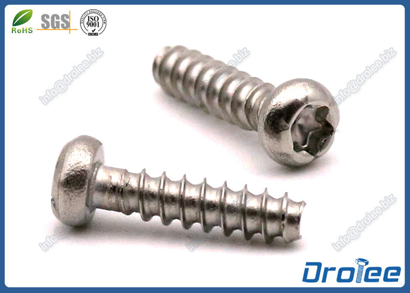 WN1452 1.4 x 6mm Stainless 316 Torx Pan Head PT Thread Screw for Plastics