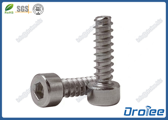 China 304 / A2 Stainless Steel Allen Socket Cap Head Tapping Screw, Type &quot;B&quot; supplier